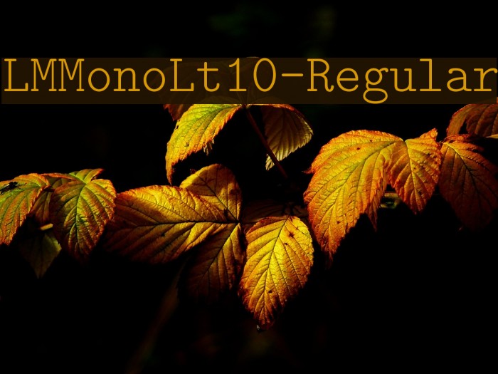 LMMonoLt10-Regular Шрифта examples