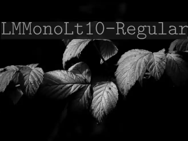 LMMonoLt10-Regular Шрифта examples