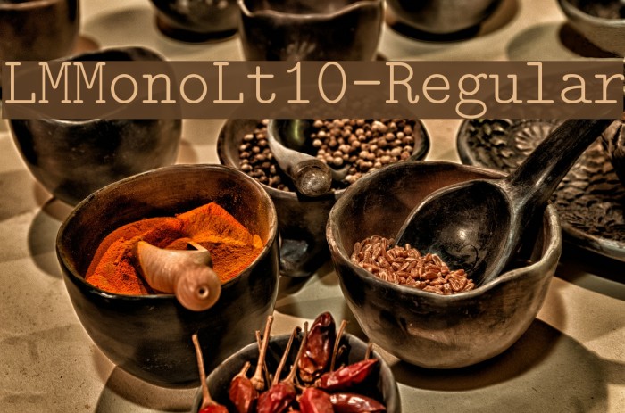 LMMonoLt10-Regular Шрифта examples