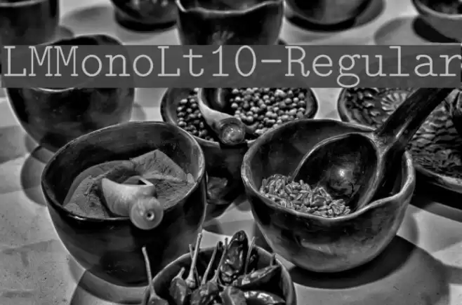 LMMonoLt10-Regular Шрифта examples