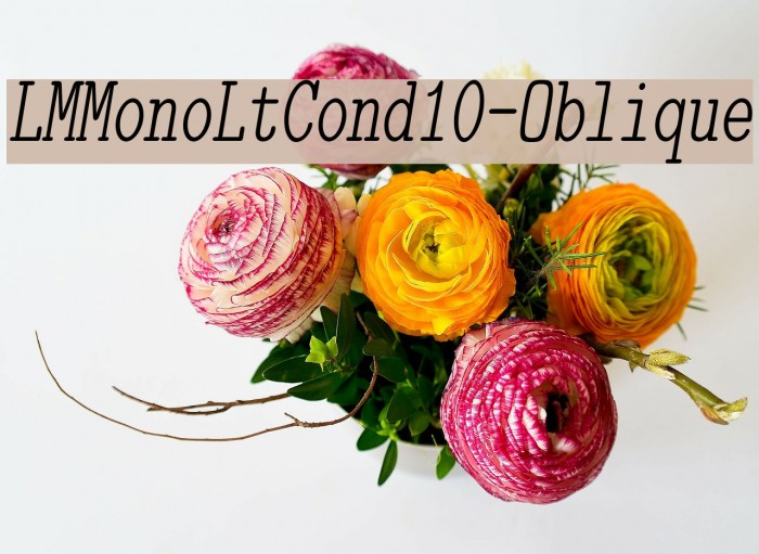 lmmonoltcond10oblique字体