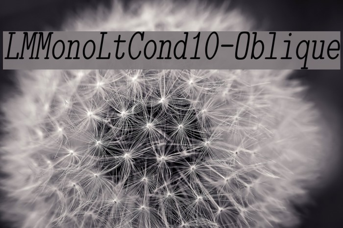 LMMonoLtCond10-Oblique Example 3