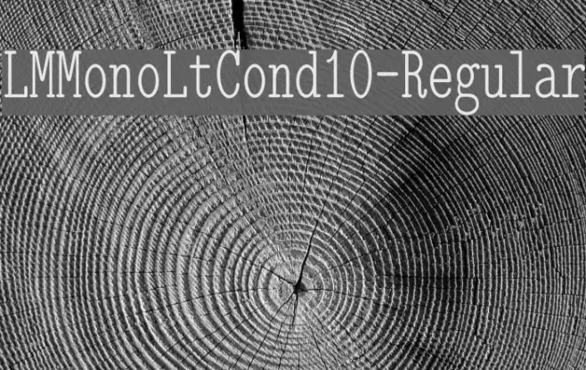 LMMonoLtCond10-Regular Example 1