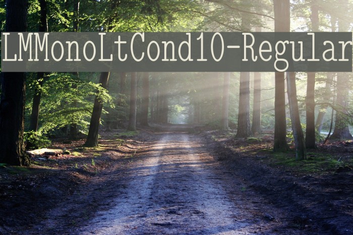LMMonoLtCond10-Regular Font examples