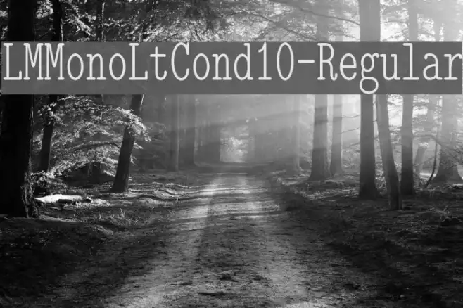 LMMonoLtCond10-Regular Example 3