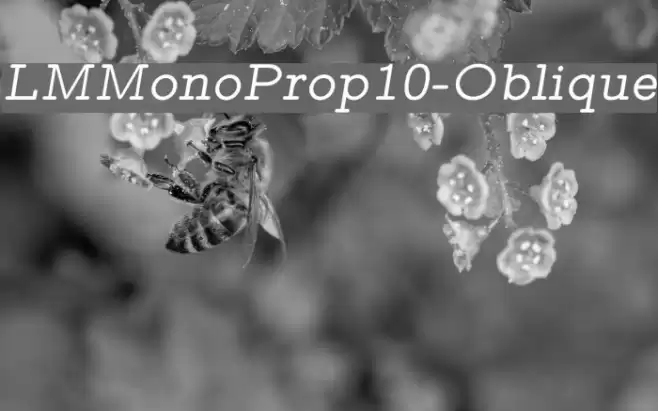 LMMonoProp10-Oblique Font examples