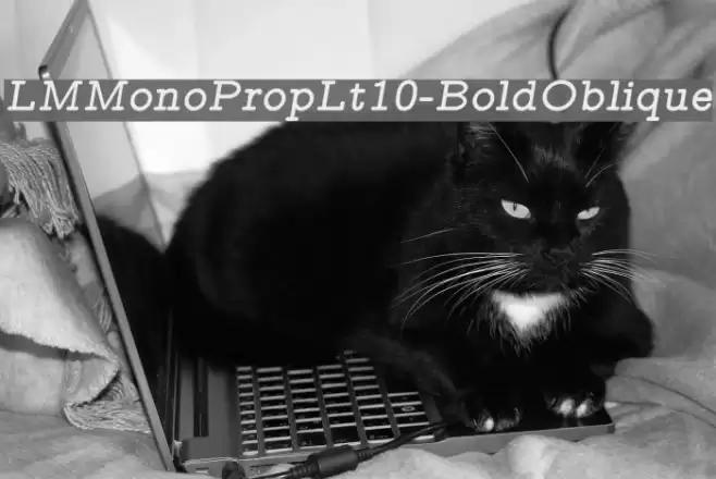 LMMonoPropLt10-BoldOblique Font examples