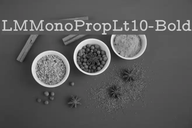 LMMonoPropLt10-Bold Font examples