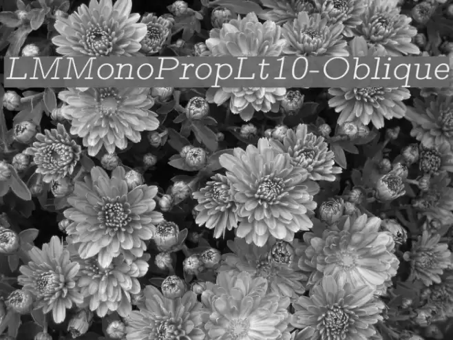 LMMonoPropLt10-Oblique Font examples