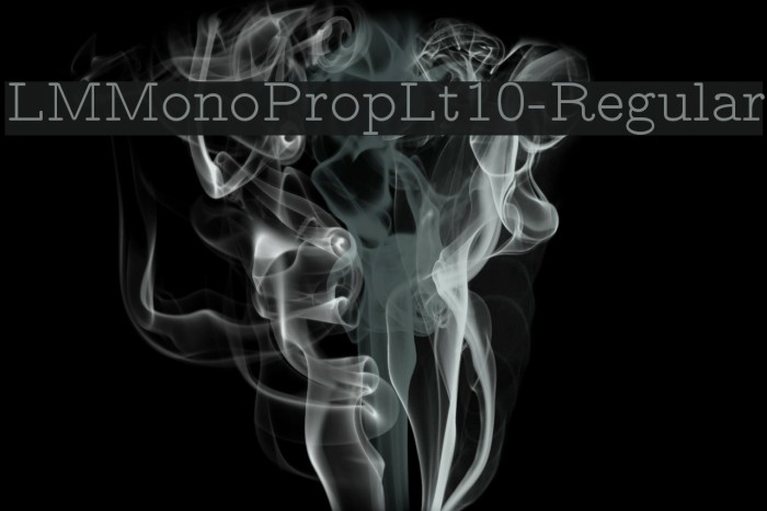 LMMonoPropLt10-Regular Font examples