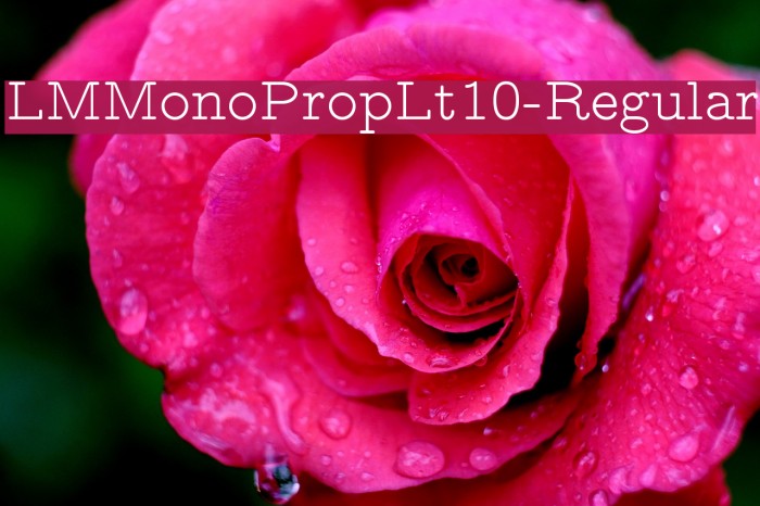 LMMonoPropLt10-Regular Font examples