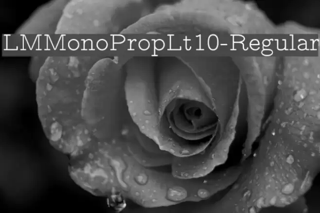 LMMonoPropLt10-Regular Font examples