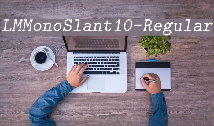 LMMonoSlant10-Regular Font examples