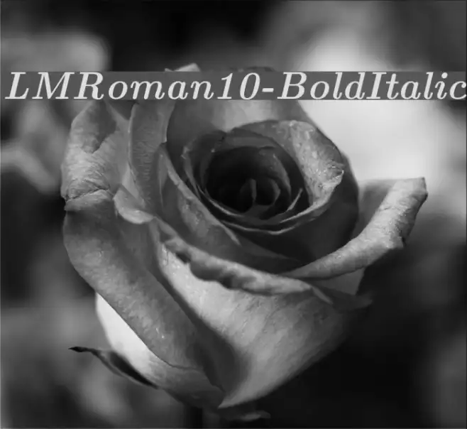 LMRoman10-BoldItalic Example 3