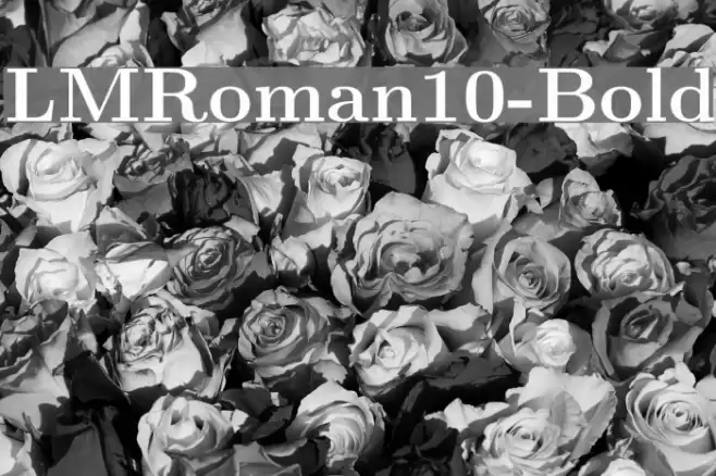 LMRoman10-Bold Font examples