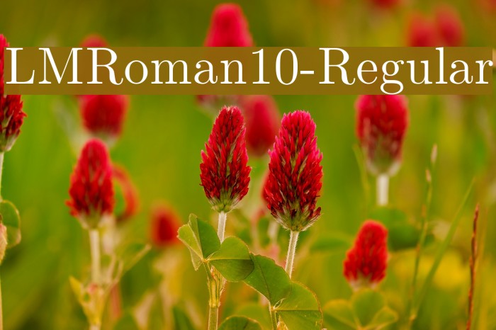 LMRoman10-Regular Font examples