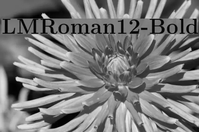 LMRoman12-Bold Font examples