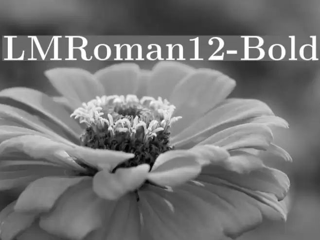 LMRoman12-Bold Font examples