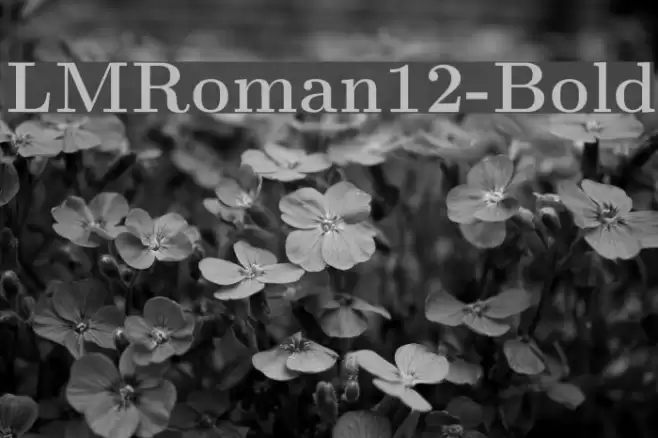 LMRoman12-Bold Font examples