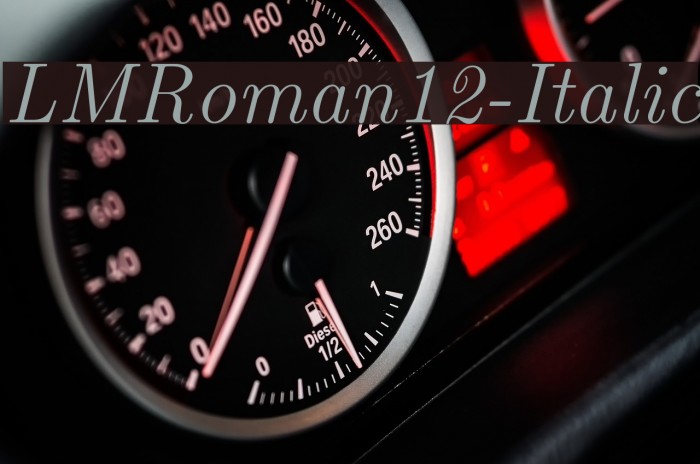 LMRoman12-Italic Font examples