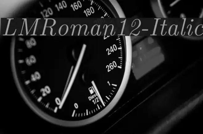 LMRoman12-Italic Example 1