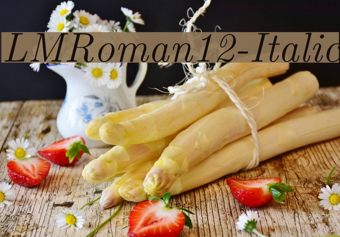 LMRoman12-Italic Font examples