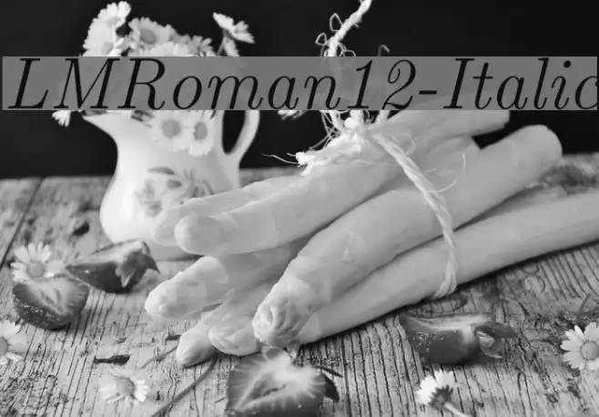 LMRoman12-Italic Example 3