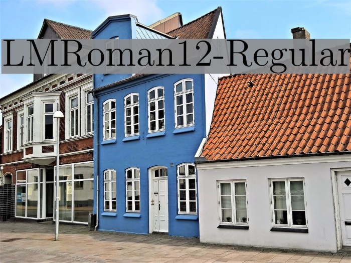 LMRoman12-Regular Font examples