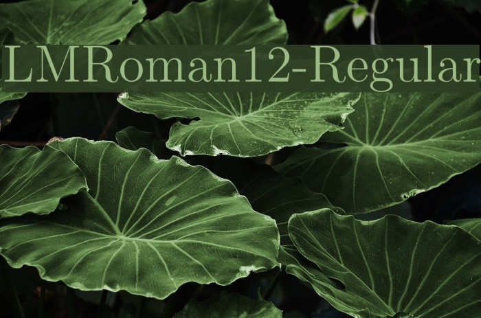LMRoman12-Regular Font examples