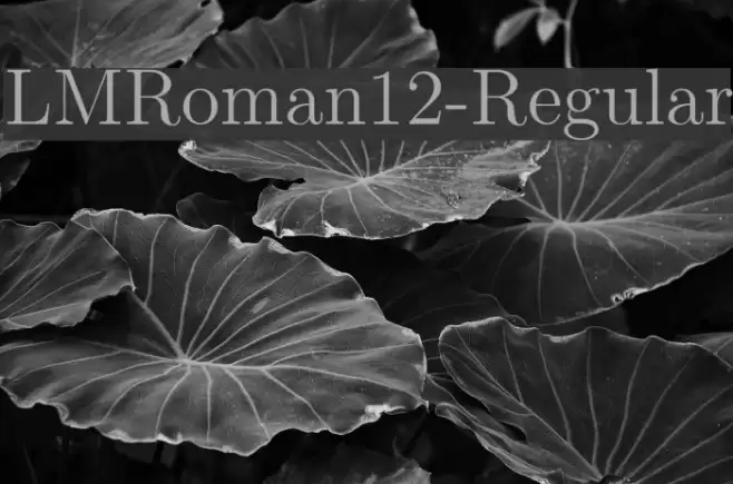 LMRoman12-Regular  examples