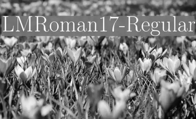 LMRoman17-Regular Font examples