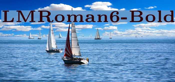 LMRoman6-Bold Font examples