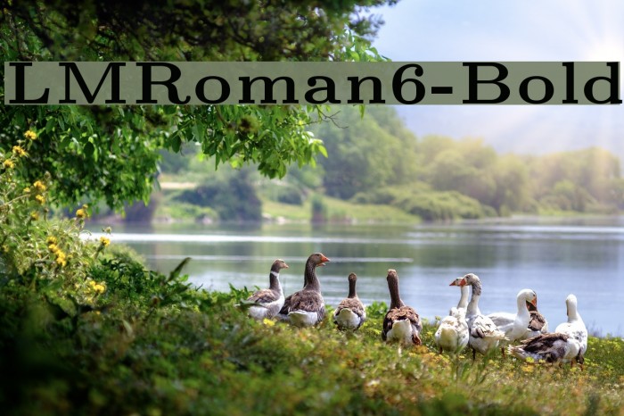 LMRoman6-Bold Font examples