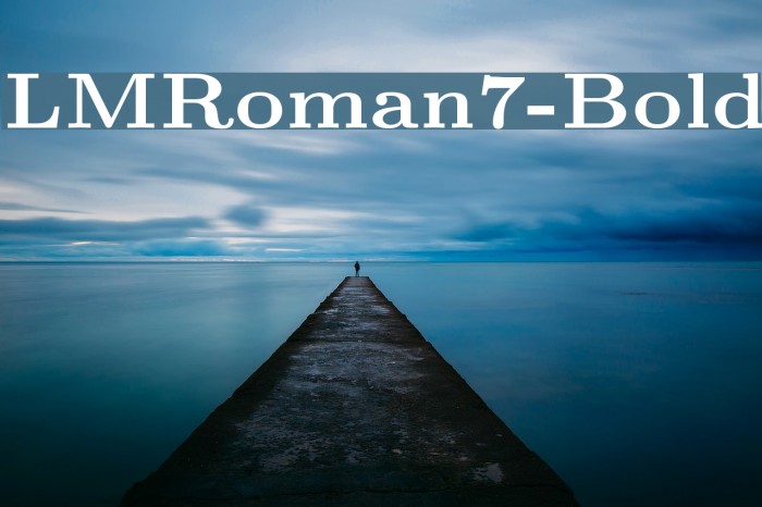 LMRoman7-Bold Font examples