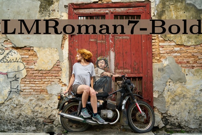LMRoman7-Bold Font examples