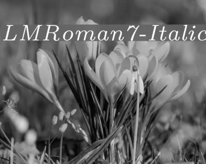 LMRoman7-Italic Font examples
