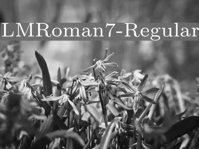 LMRoman7-Regular examples