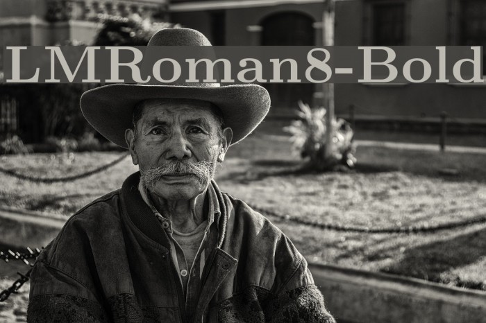 LMRoman8-Bold Font examples