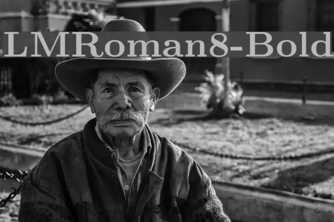 LMRoman8-Bold Font examples