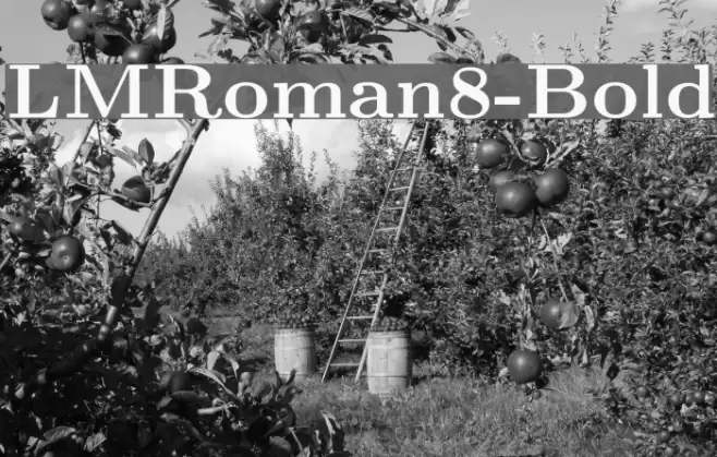 LMRoman8-Bold Font examples