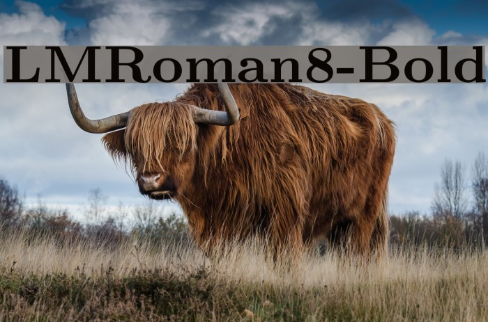 LMRoman8-Bold Font examples