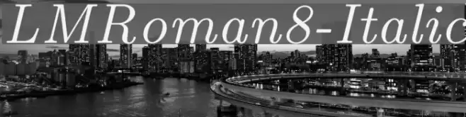 LMRoman8-Italic  examples