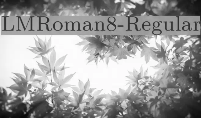 LMRoman8-Regular examples