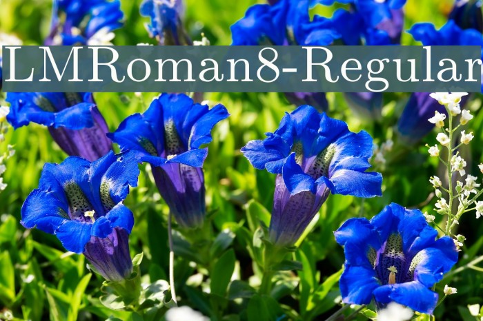 LMRoman8-Regular Font examples