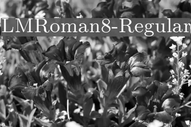 LMRoman8-Regular examples