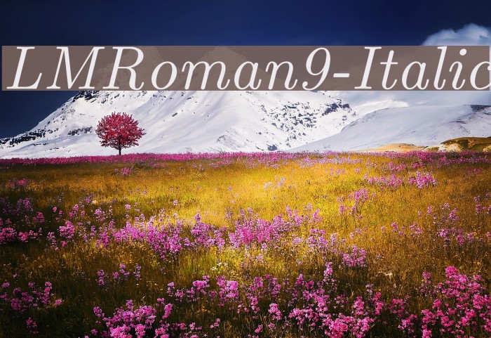 LMRoman9-Italic Font examples