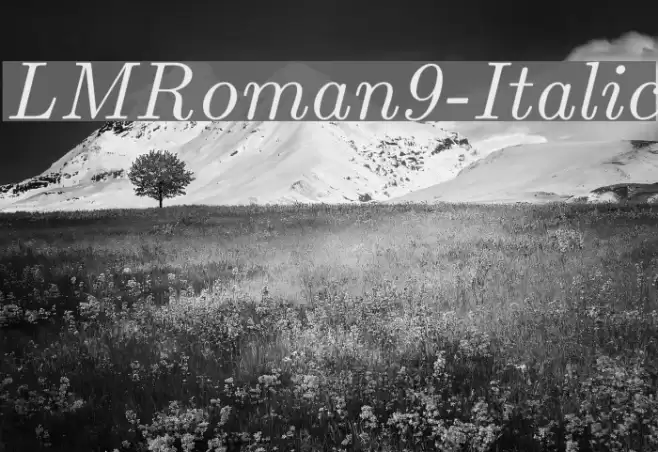 LMRoman9-Italic examples