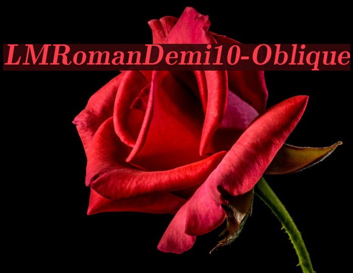 LMRomanDemi10-Oblique Font examples