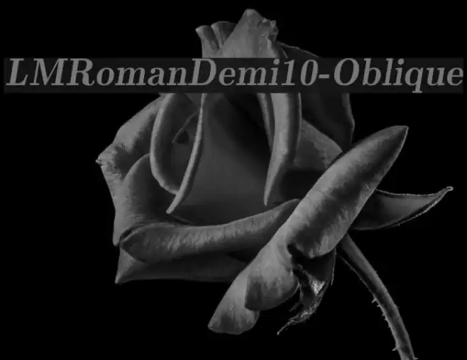 LMRomanDemi10-Oblique Example 3