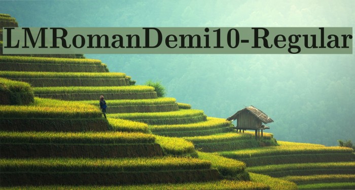 LMRomanDemi10-Regular Font examples